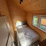 Ryby W Sieci * Władysławowo