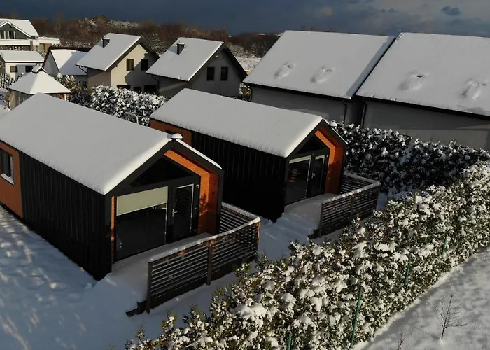 Ryby W Sieci * Władysławowo