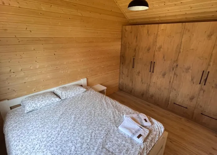 Ryby W Sieci * Władysławowo